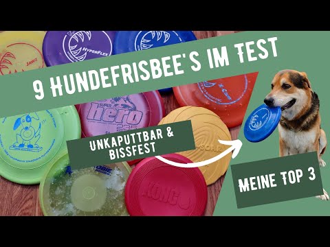 Hundefrisbee Test 🐶 9 beste Frisbees für Hunde im Vergleich 🥏 Unkaputtbar &amp; Bissfest | Meine Top 3 🏆
