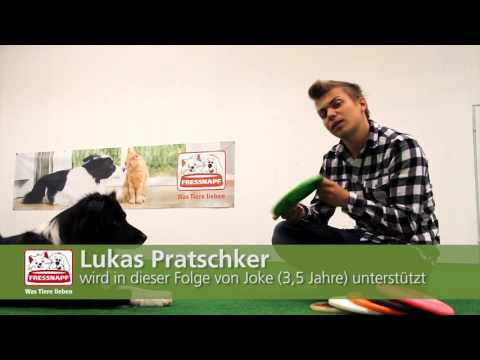 Lukas zeigt uns Hundefrisbee