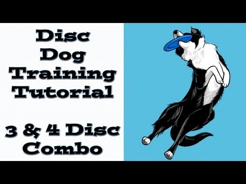 3 &amp; 4 Disc Dog Combination - Disc Dog Tutorial