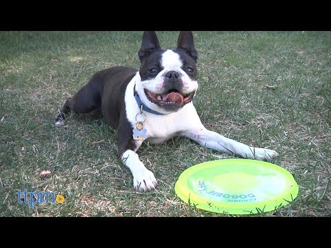 Dogobie Disc from Aerobie Inc.